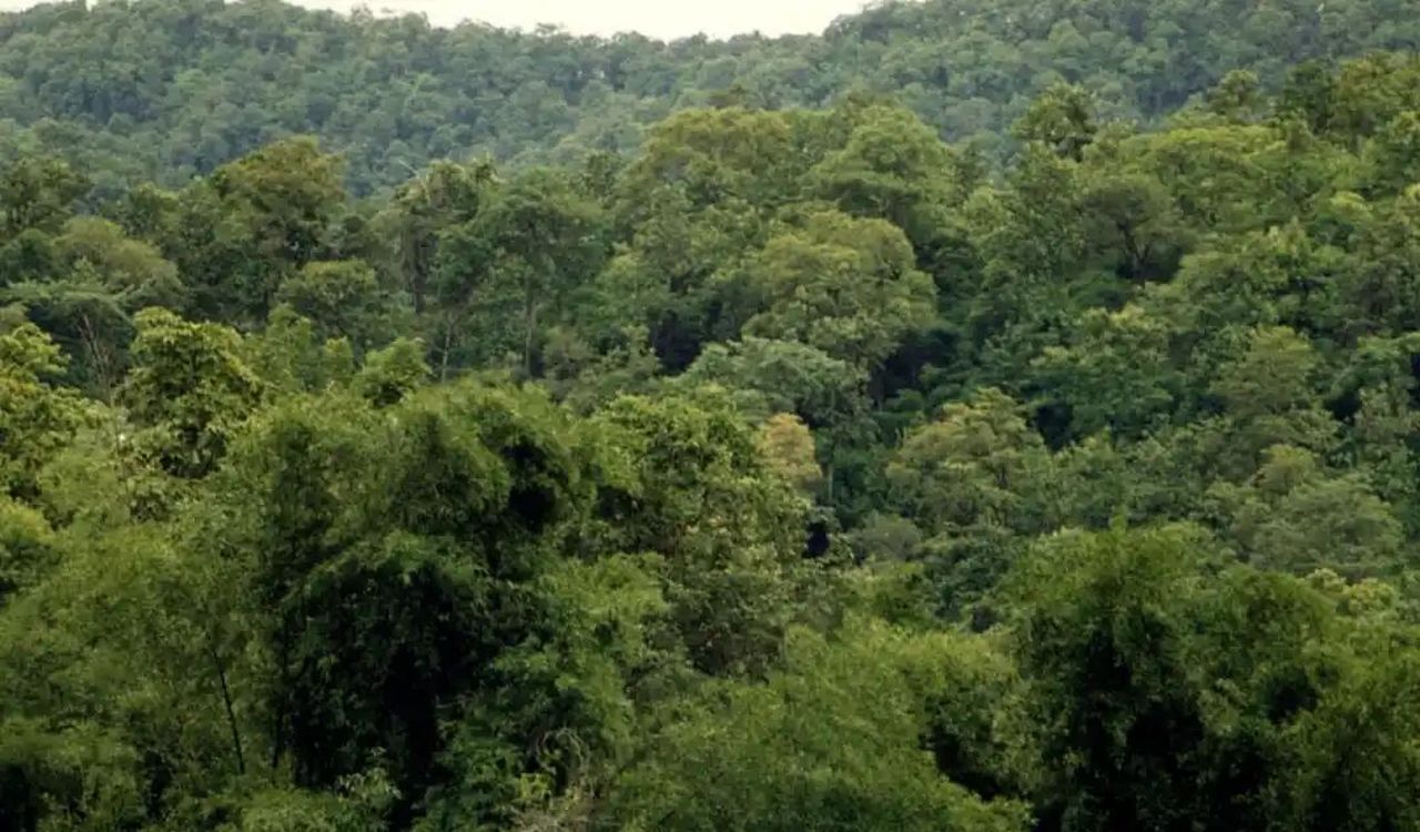 389 एकड़ आरक्षित वन भूमि खाली करने का आदेश