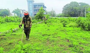 खाली प्लॉट बन रहे कूड़ाघर