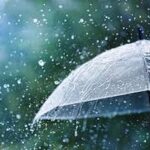 कर्नाटक में जुलाई की शुरुआत से मानसून होगा सक्रिय
