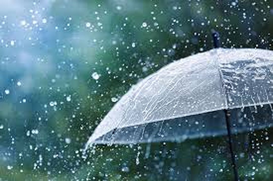 कर्नाटक में जुलाई की शुरुआत से मानसून होगा सक्रिय