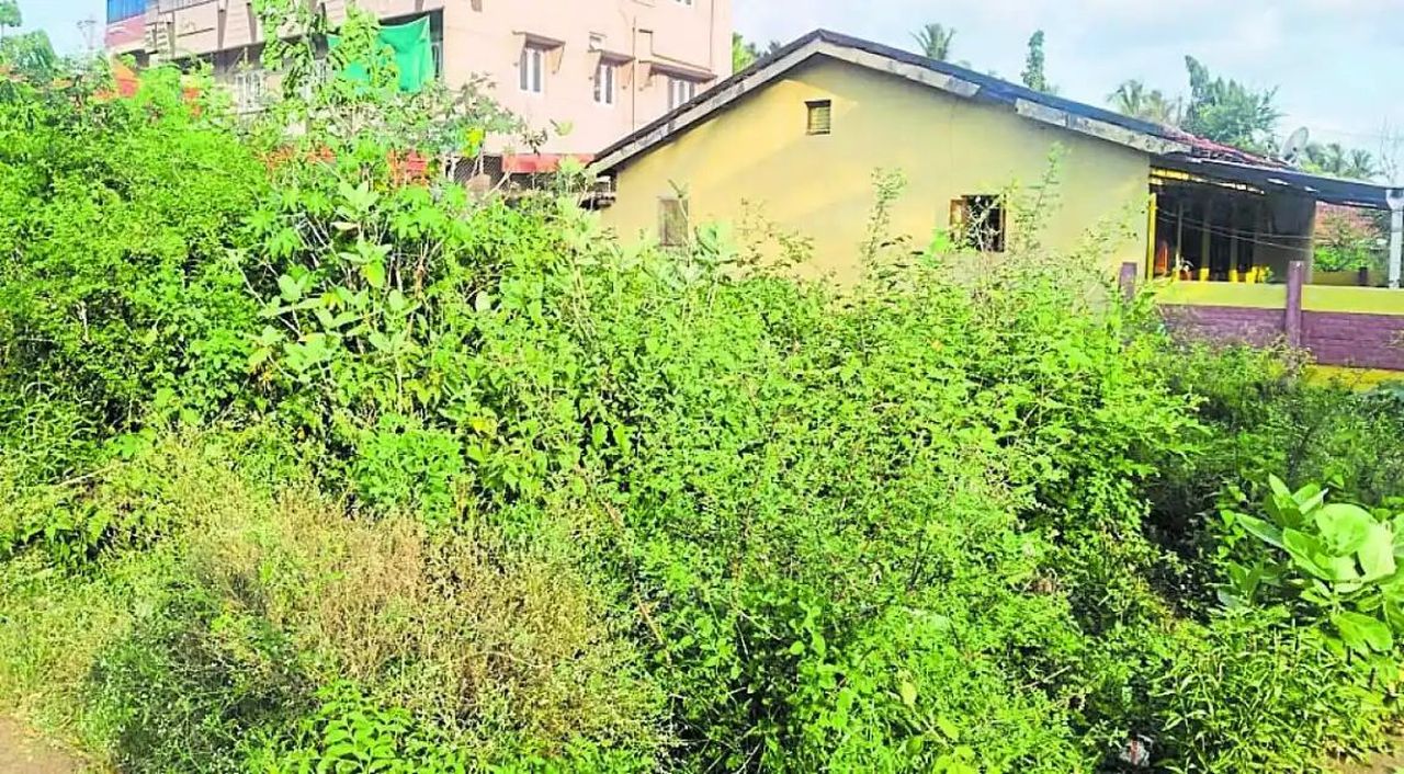 खाली प्लॉट बन रहे कूड़ाघर