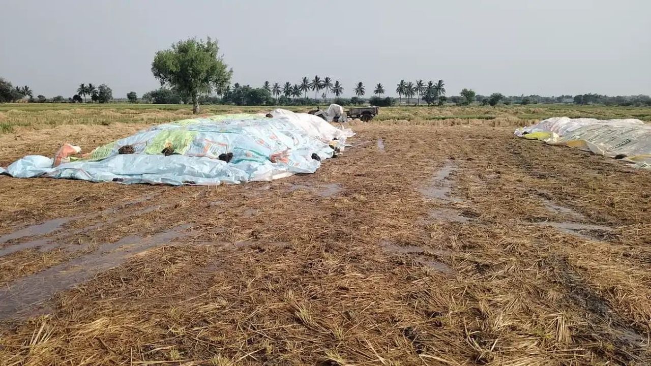 कर्नाटक के 19 जिलों में बारिश की कमी, मानसून की रफ्तार सुस्त