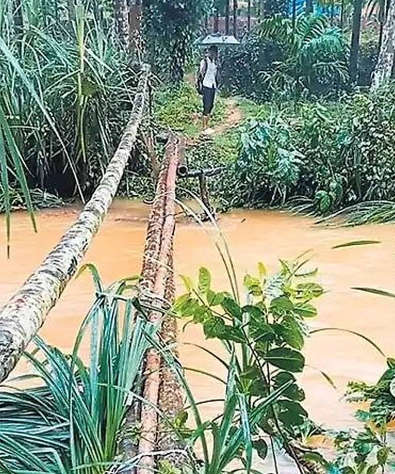 मानसून आया, लेकिन गांवों में पैदल पुलों का इंतजार बरकरार