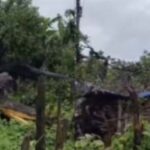 भारी बारिश के बीच पेड़ गिरा, मकान-गौशाला तबाह