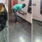 घर के डाइनिंग हॉल में घुसा आठ फीट लंबा किंग कोबरा