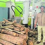 सरकारी अस्पताल में पेड़ कटाई पर डॉक्टर के खिलाफ मामला