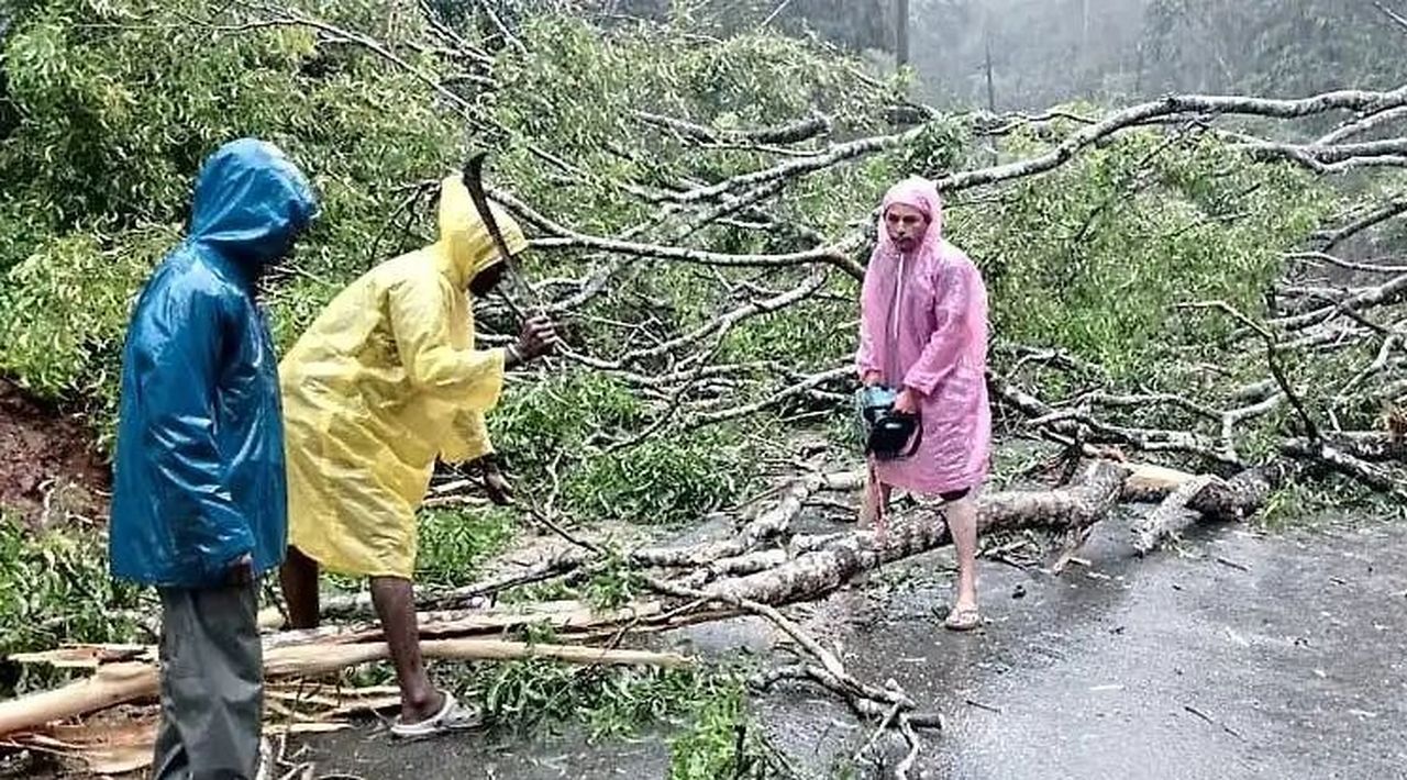 आंधी-बारिश में विशाल आम का पेड़ गिरा, एक घंटे तक जाम