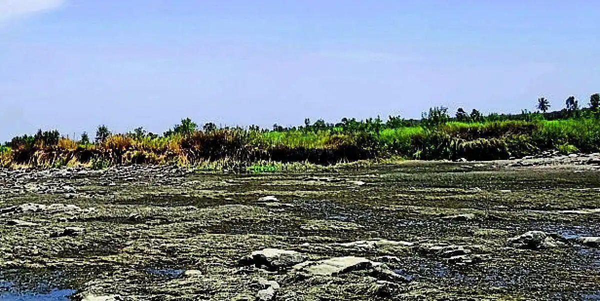 बरसात में ही सूखी तुंगभद्रा, धान की फसल पर संकट
