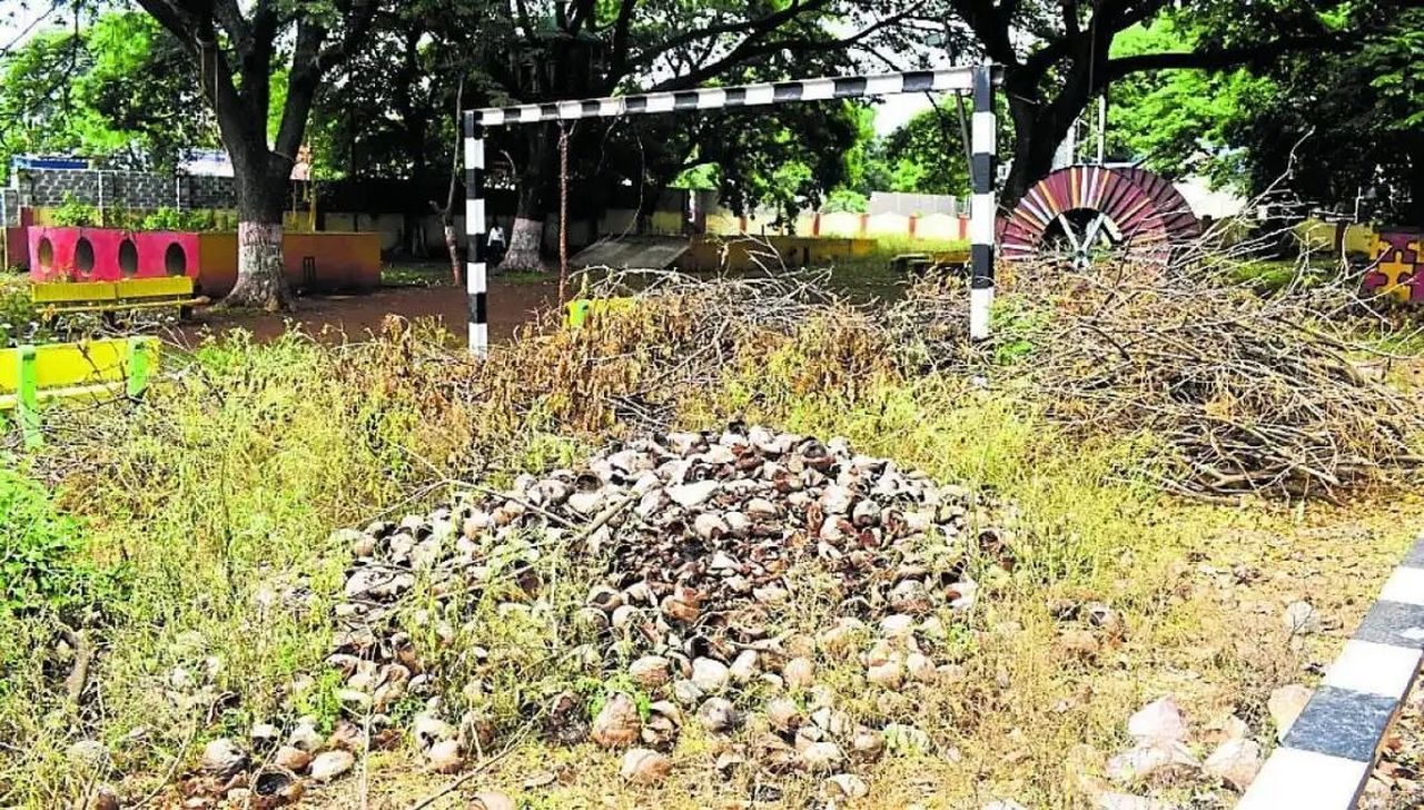 उपेक्षा की भेंट चढ़ा विवेकानंद एडवेंचर पार्क