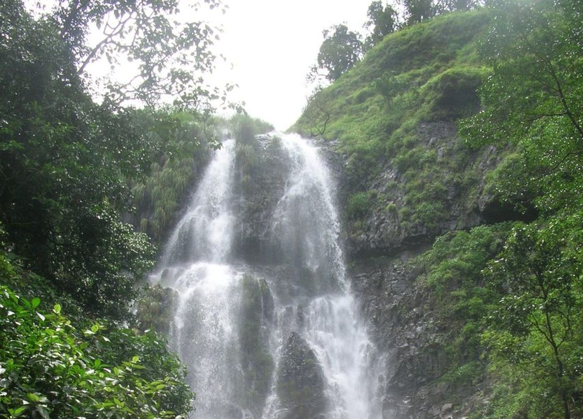 महाराष्ट्र में 400 फीट गहरी खाई में गिरे कर्नाटक के डॉक्टर, तलाश जारी