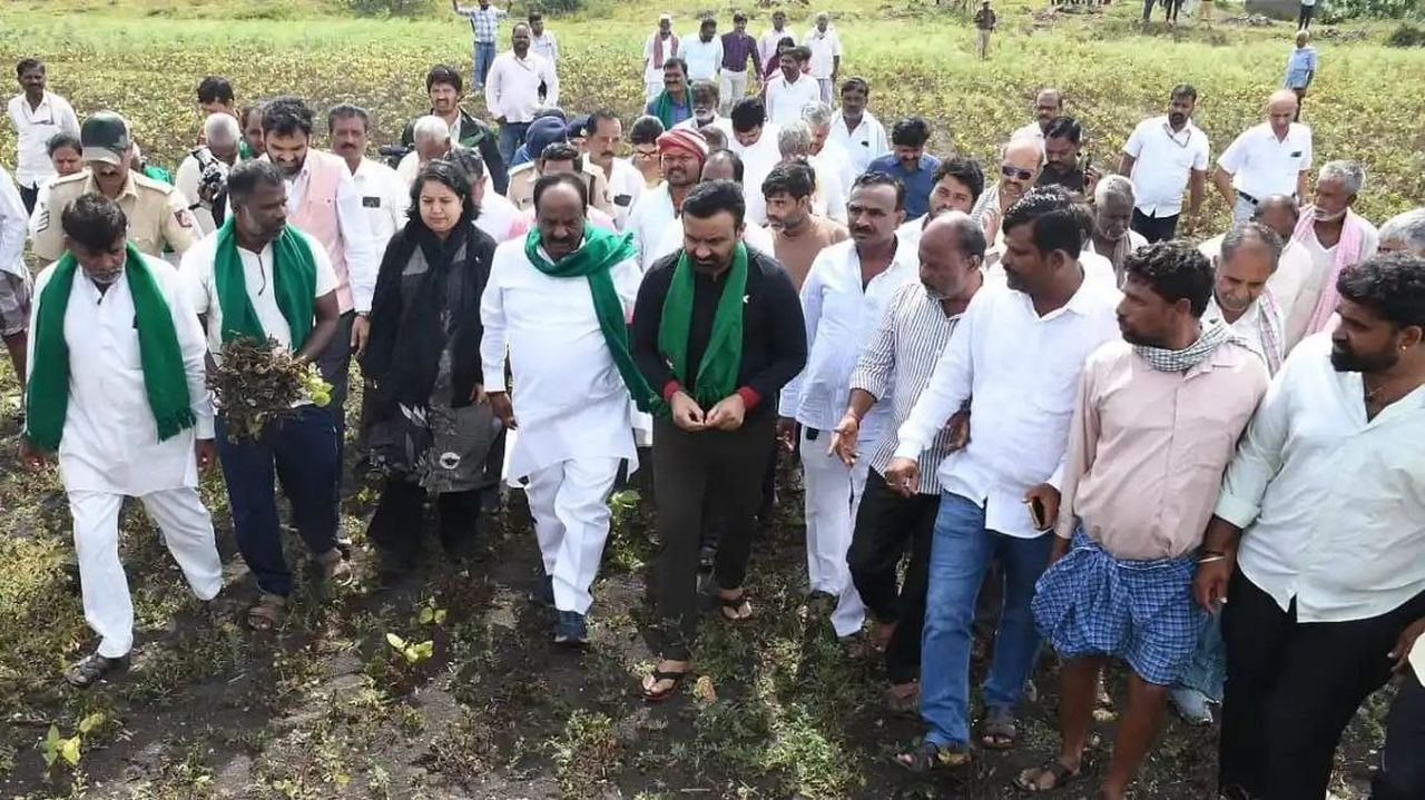 धारवाड़ में हरित सूखे के हालात, फसलें हरी लेकिन बढ़वार थमी : संतोष लाड