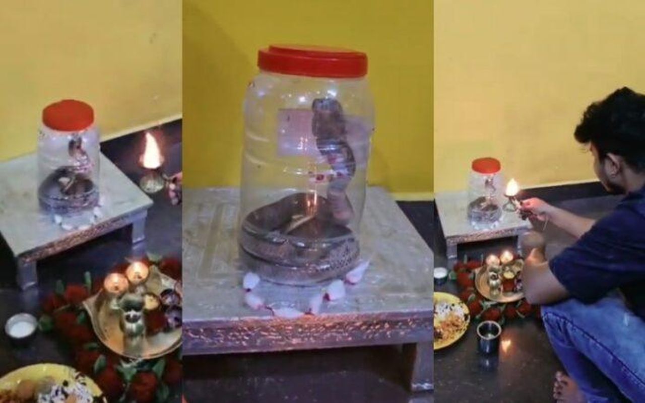 मिट्टी के नाग की जगह असली नाग को पूजा!