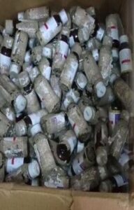 बल्लारी में अवैध दवा कारोबार का भंडाफोड़, 84 लाख रुपए की दवाएं जब्त