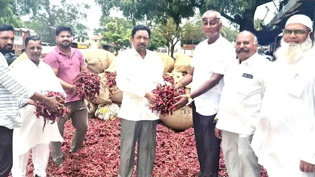 ब्याडगी मंडी में समय से पहले पहुंची नई मिर्च, भाव 50,669 रुपए