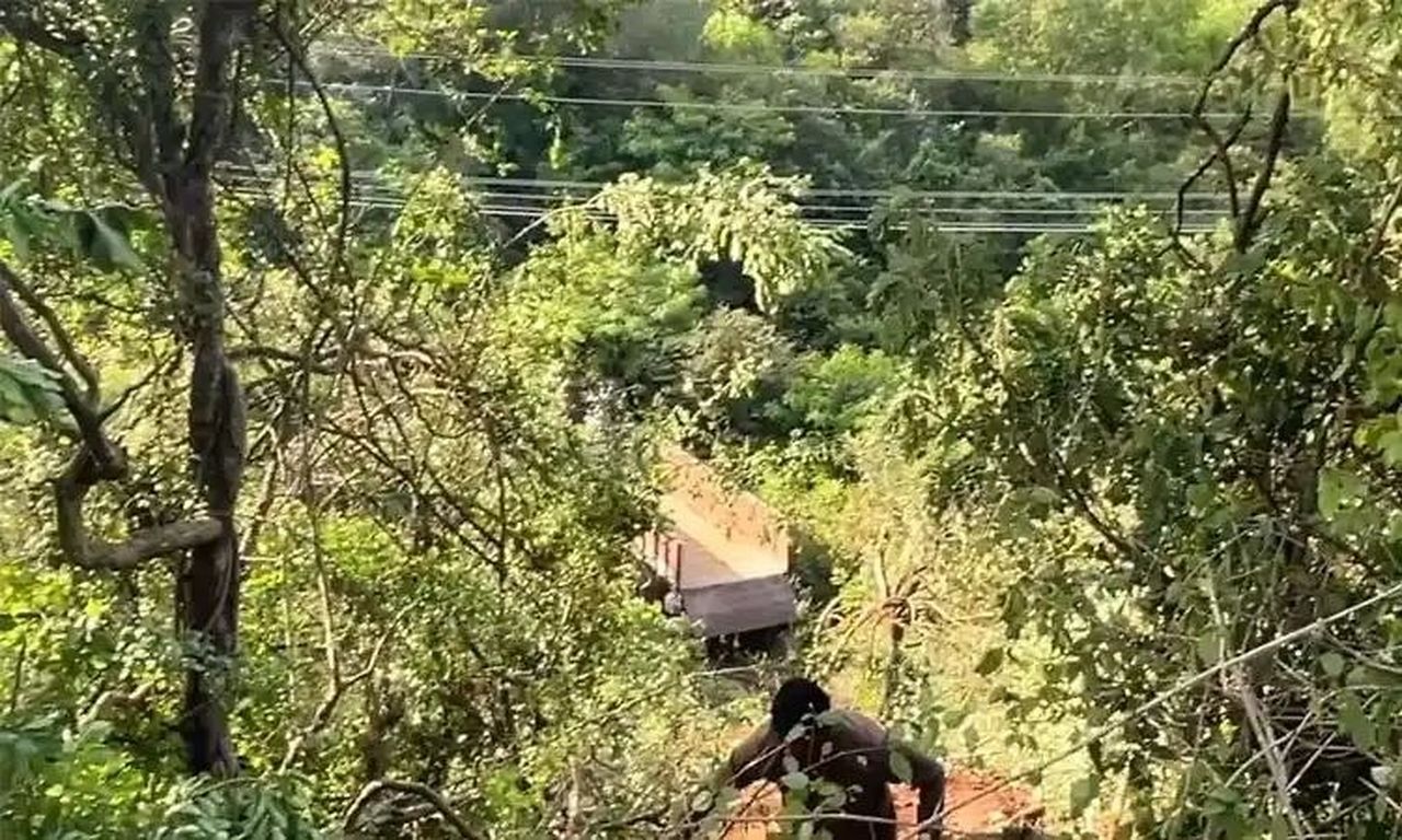 ब्रेक फेल होने से 100 फीट गहरी खाई में गिरी लोडेड लॉरी