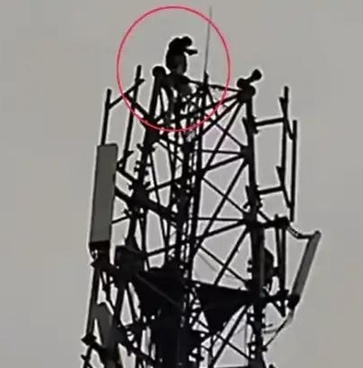 प्रेमिका ने ठुकराया तो टावर पर चढ़ा युवक