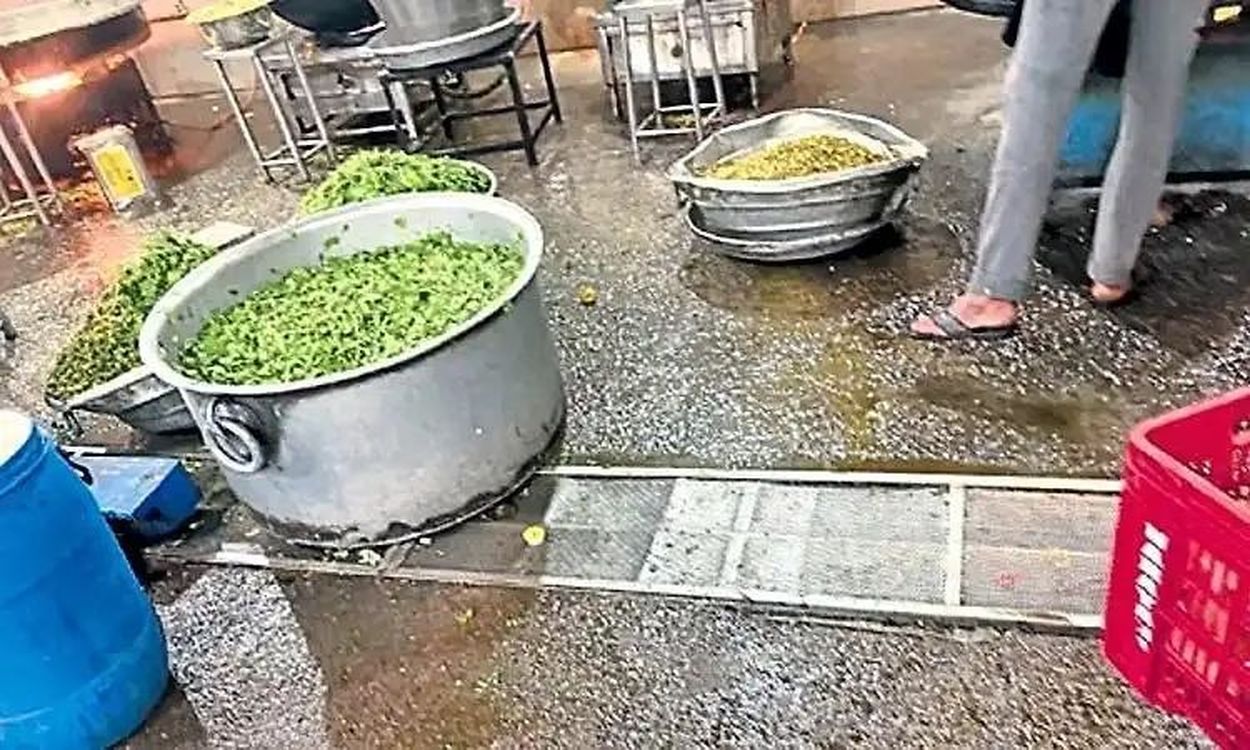 स्टाफ की कमी से जूझ रहा खाद्य सुरक्षा विभाग