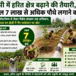 उडुपी में हरित क्षेत्र बढ़ाने की तैयारी, इस साल 7 लाख से अधिक पौधे लगाने का लक्ष्य