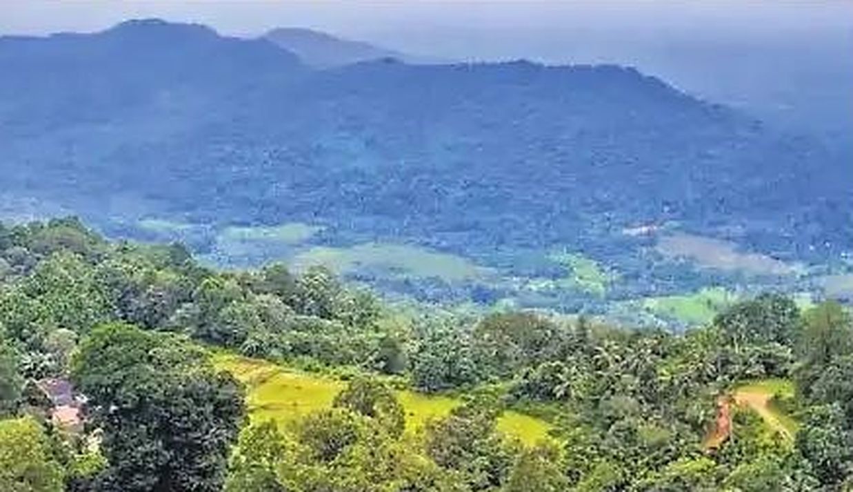 नक्सल के बाद अब कस्तूरीरंगन रिपोर्ट की चिंता