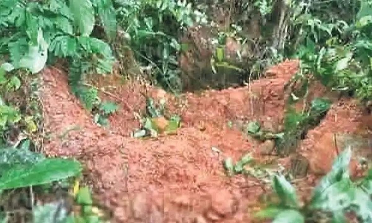 जंगली हाथियों का आतंक बढ़ा, किसानों में दहशत