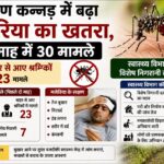 दक्षिण कन्नड़ में बढ़ा मलेरिया का खतरा, दो माह में 30 मामले
