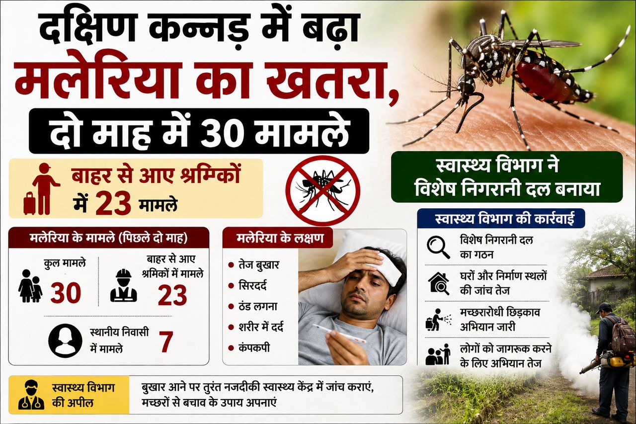 दक्षिण कन्नड़ में बढ़ा मलेरिया का खतरा, दो माह में 30 मामले