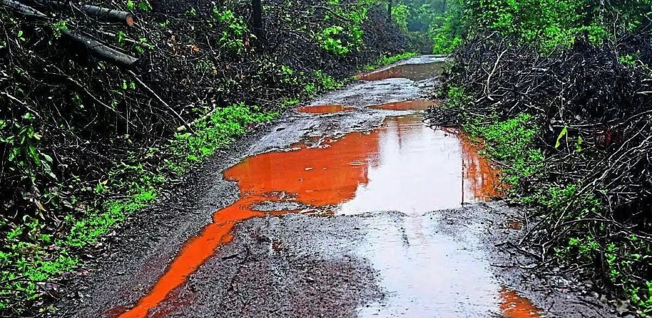 सड़क नहीं, जंगल की पगडंडी; 40 गांवों का सफर दुश्वार