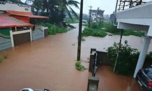मूसलाधार बारिश से कई जिले प्रभावित