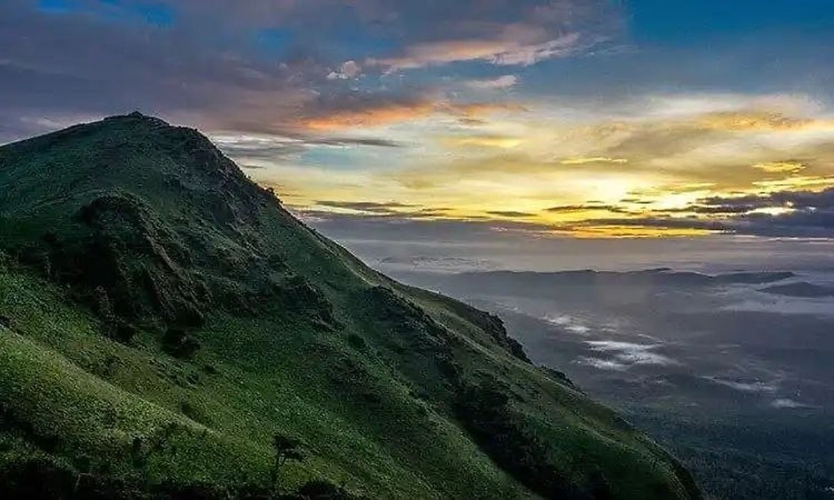 ‘जंगल बचाइए, हमारा जीवन मत छीनिए’