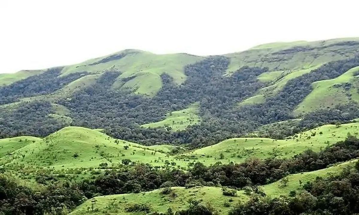 पश्चिमी घाट में 8,288 करोड़ की वाराही जलविद्युत परियोजना पर पर्यावरणीय चिंता