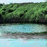 बारिश रूठी, चेकडैम बना किसानों का सहारा