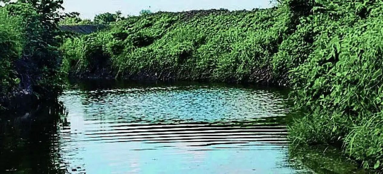 बारिश रूठी, चेकडैम बना किसानों का सहारा