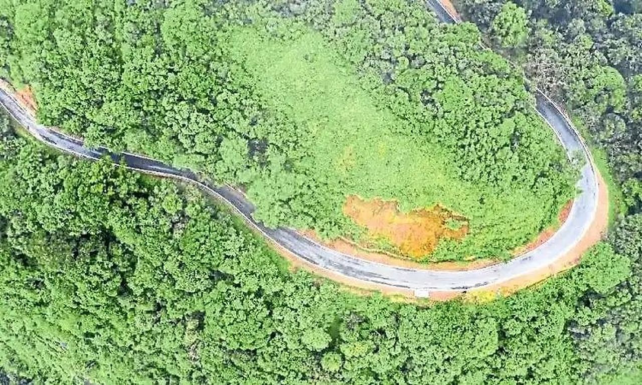 चारमाडी घाट में 7,540 पेड़ों पर संकट