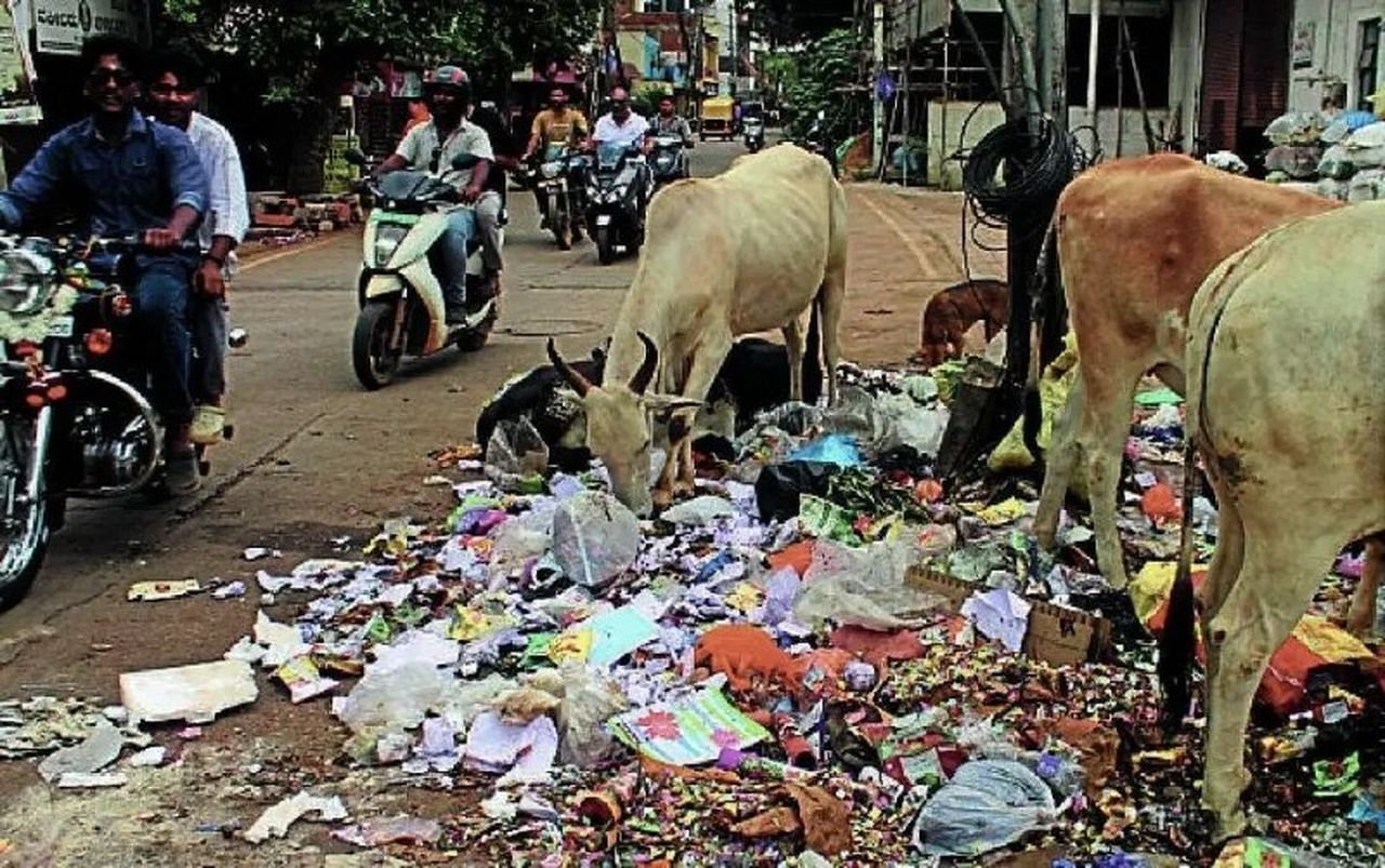 कचरे के ढेर में ‘स्मार्ट सिटी’ की तस्वीर