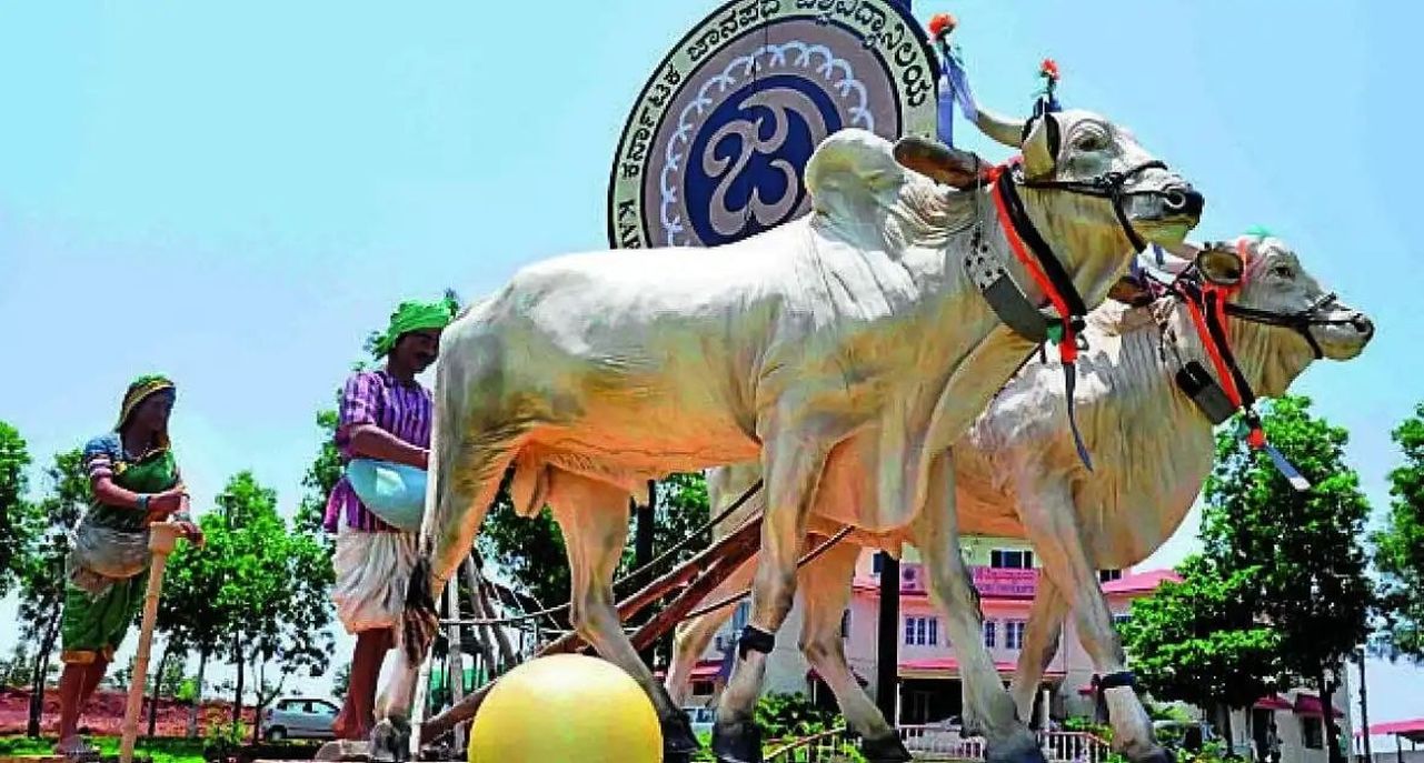 बिना मंजूरी चल रहे थे आठ पाठ्यक्रम, अब बंद करने का नोटिस!