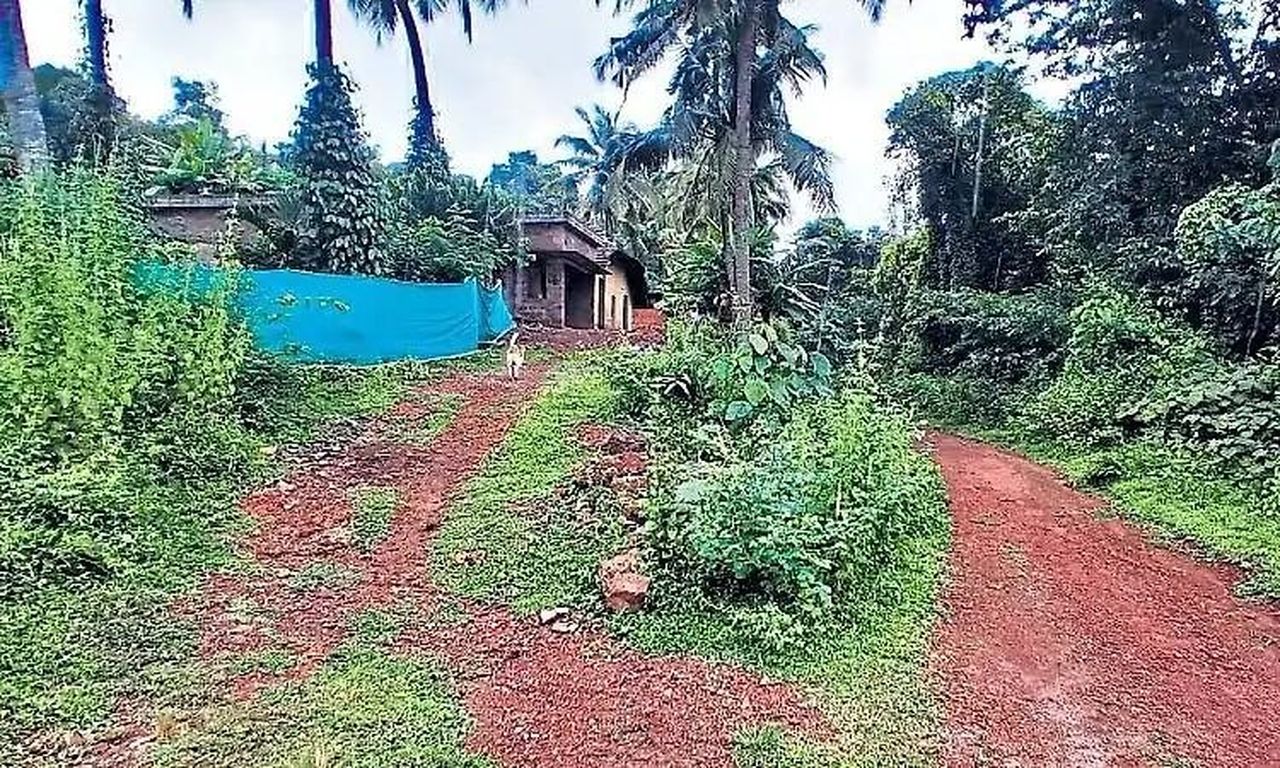 पाइपलाइन बिछी, पानी नहीं, सड़क ऐसी कि वाहन भी नहीं पहुंचते