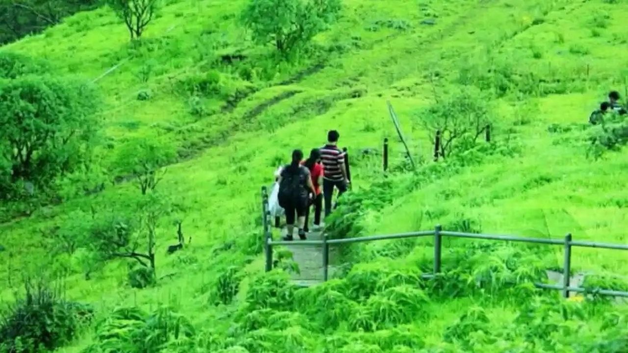वन क्षेत्रों में ट्रेकिंग पर कसेगा शिकंजा