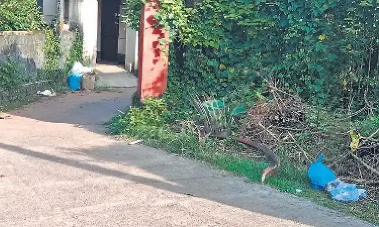 कचरा उठाने की व्यवस्था पर सवाल, सड़कें बनीं डंपिंग ग्राउंड!