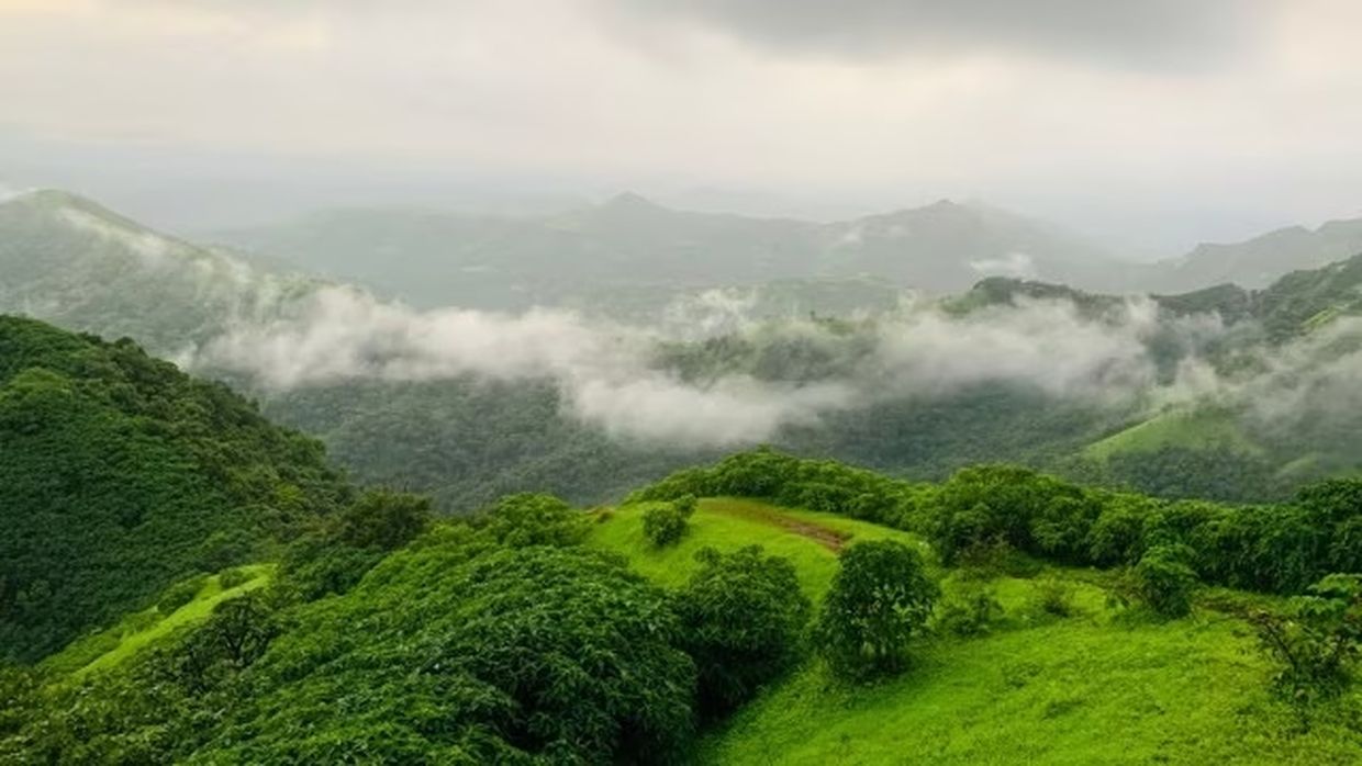 कस्तूरीरंगन रिपोर्ट : पश्चिमी घाट का भविष्य और जन जीवन की चुनौती