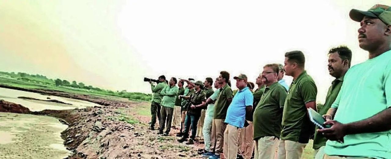 आलमट्टी के जलाशय में 800 से अधिक पक्षियों का बसेरा, 26 प्रजातियां दर्ज