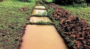 सूखे में जलसंचय की पहल, वन क्षेत्र में खोदीं 588 खाइयां