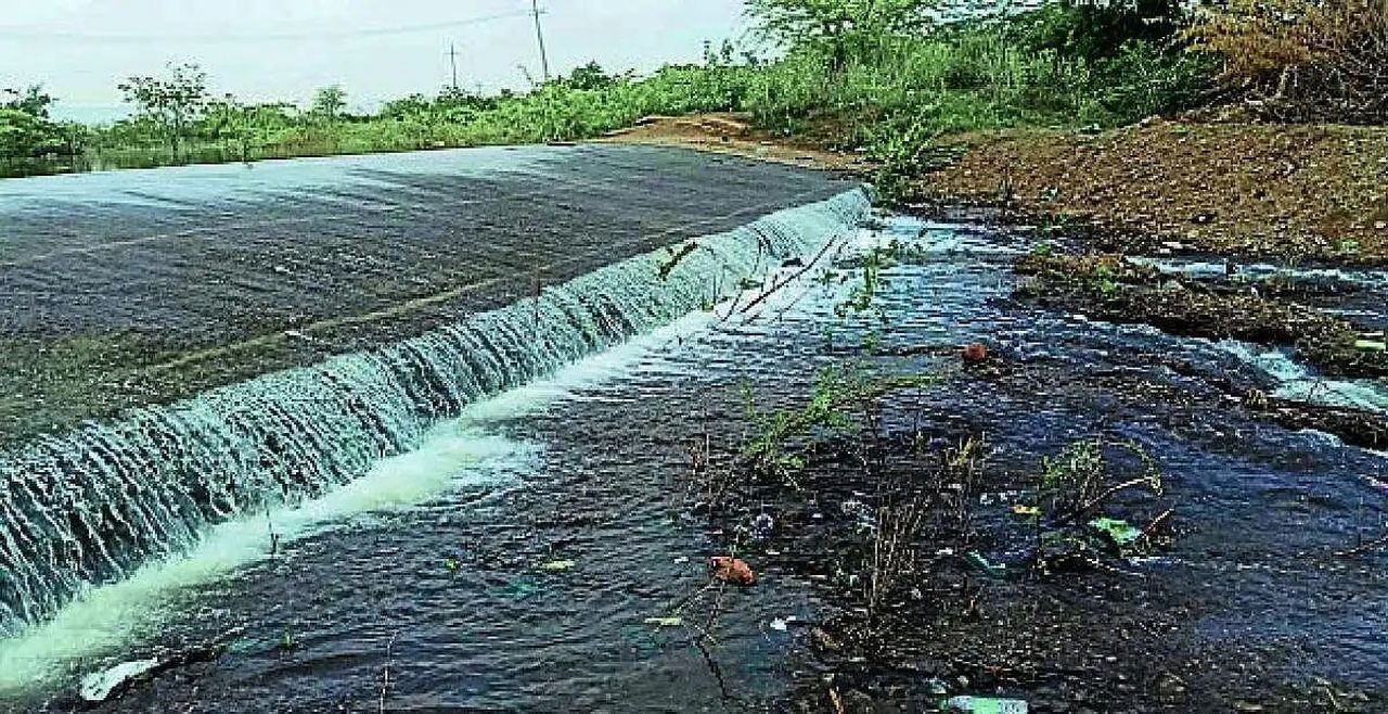 सूखे की धरती पर भद्रा का पानी, 45 साल बाद फिर लबालब हुआ आइमंगला तालाब