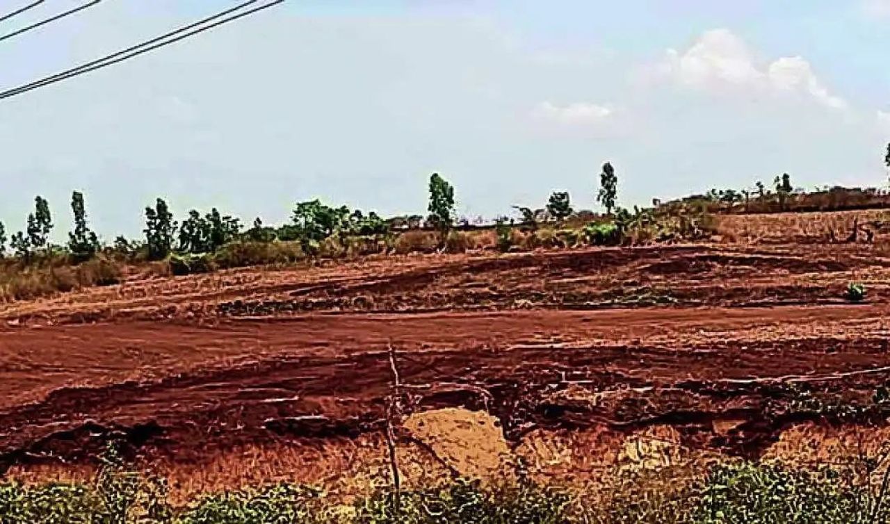 145 एकड़ सरकारी गोमाल पर कब्जे का आरोप
