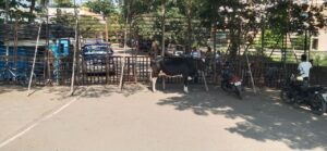 गन्ना मूल्य पर किसानों का रण, उत्तर कर्नाटक में राजमार्ग जाम