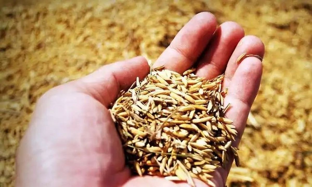 चार साल में 42.57 करोड़ के कृषि उत्पाद जब्त