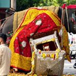 बिदके हाथी के बाद सरकार सख्त