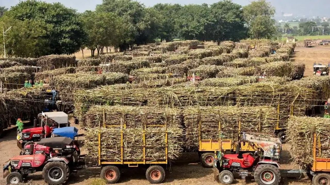 गन्ने के दाम पर आर-पार की लड़ाई, चीनी गोदामों पर तालाबंदी की चेतावनी
