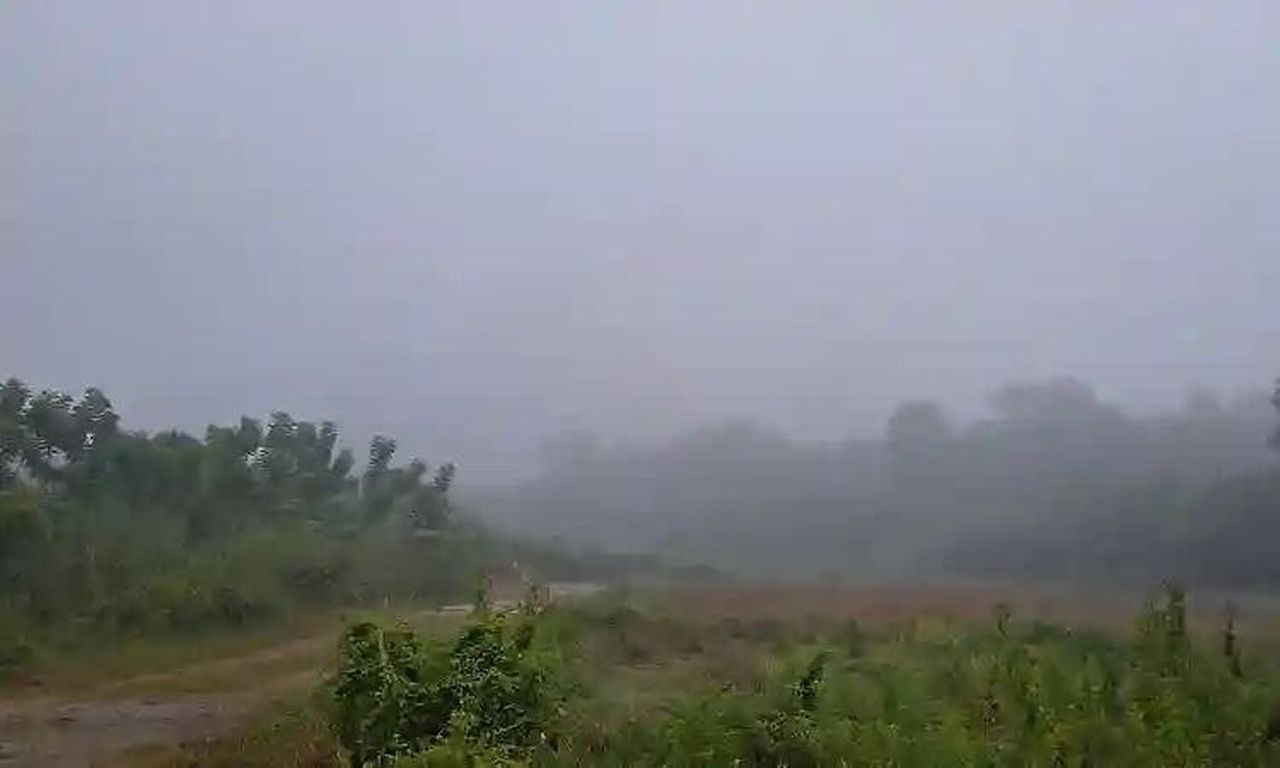 अक्टूबर की शुरुआत में ही उडुपी-मणिपाल में घना कोहरा