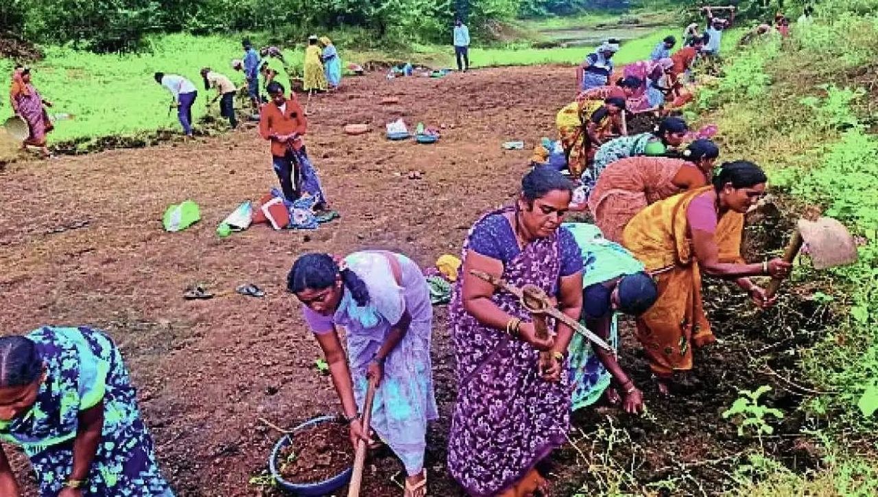 बारिश कम, खेती सुस्त, तालाब-कैनाल की खुदाई में जुटे मजदूर